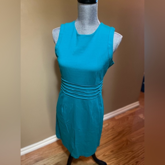 Blue Barclay Dress - Picture 7 of 9